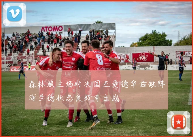 森林狼主场对决国王爱德华兹缺阵海兰德状态良好可出战