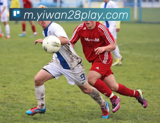 亿万28服务体系